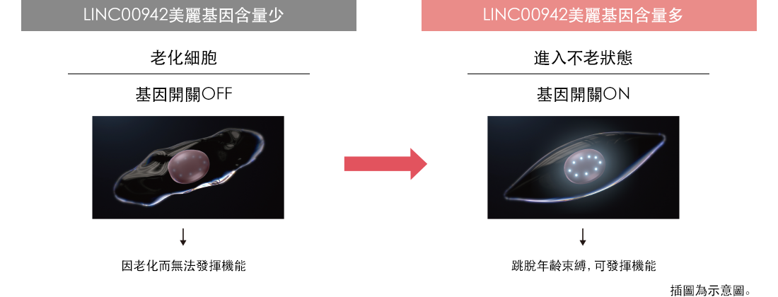LIMC
